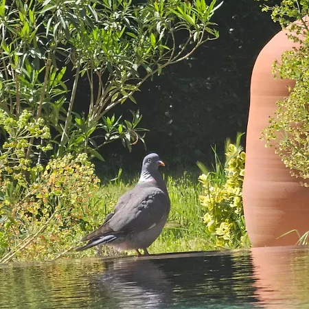 Tourmagne Piscine *